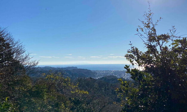 Thank you very much for 2021 !