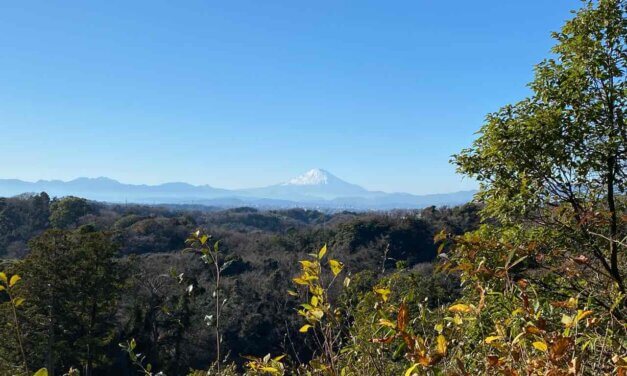 happy new year 2022 | Ich wünsche Ihnen ein frohes glückliches neues jahr!!