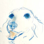 NEW | Dachshund | 15x10cm | watercolour x paper | 2022 #dog