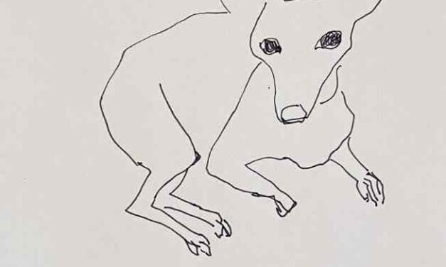 NEW | Pinsher | 15x10cm | drawing x paper | 2022 #dog