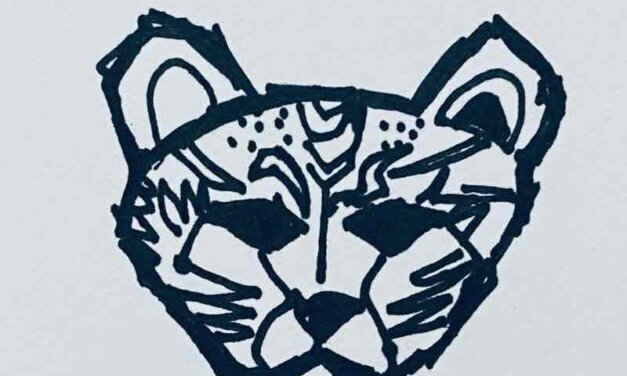 NEW | 15x10cm | drawing x paper | 2022 #cat #tiger