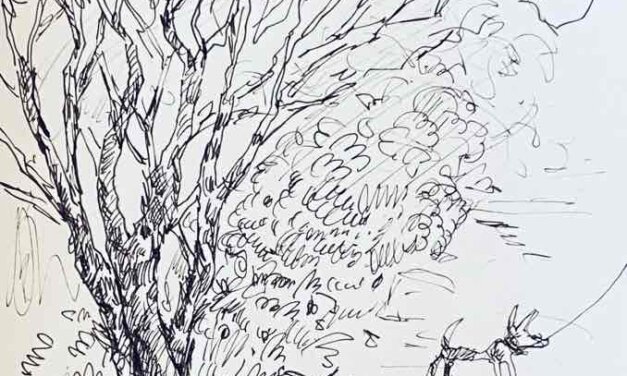 NEW | 15x15cm | drawing x paper | 2022 #park