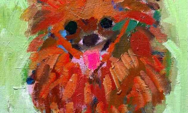 NEW | pomeranian | 30x24cm | oil x paper | 2022 #DOGGY