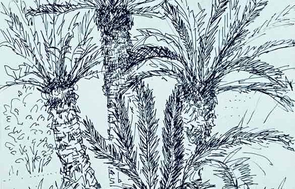 NEW | 29x21cm | drawing x paper | 2022 #landscape