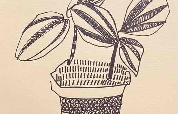 NEW | 29x21cm | drawing x paper | 2022 #botanical