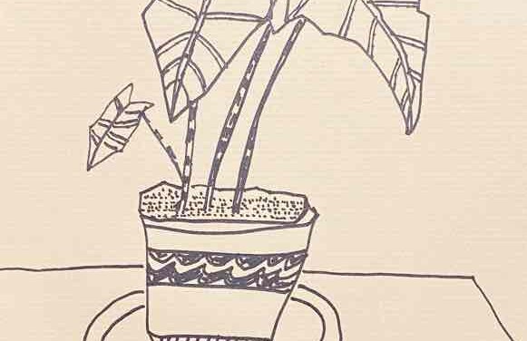 NEW | 29x21cm | drawing x paper | 2022 #botanical