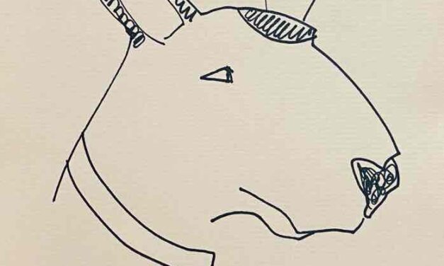 NEW | 29x21cm | drawing x paper | 2022 #dog