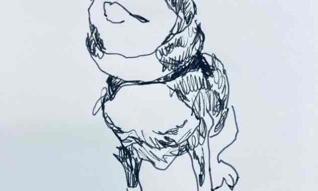 NEW | 15x15cm | drawing x paper | 2022 #shiba