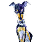 NEW | pinsher | 15x10cm | watercolour x paper | 2022 #dog