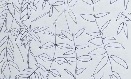 NEW | 15x15cm | drawing x paper | 2022 #botanical