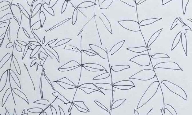 NEW | 15x15cm | drawing x paper | 2022 #botanical