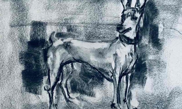 NEW | 30x40cm | drawing x paper | 2022 #pinsher