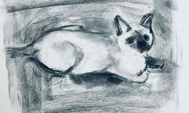 NEW | 30x40cm | drawing x paper | 2022 #cat