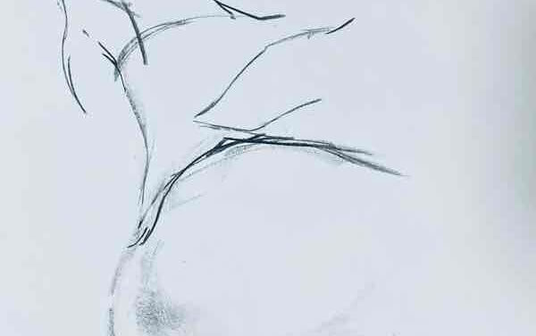 NEW | 40x30cm | drawing x paper | 2022