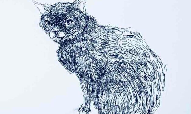 NEW | 21x29cm | drawing x board | 2022 #cat