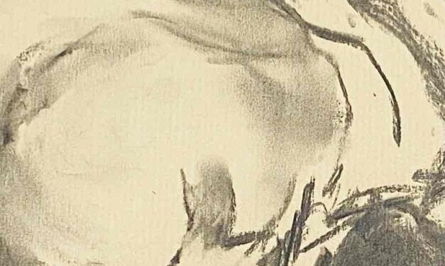 NEW | 21x29cm | drawing x paper | 2022