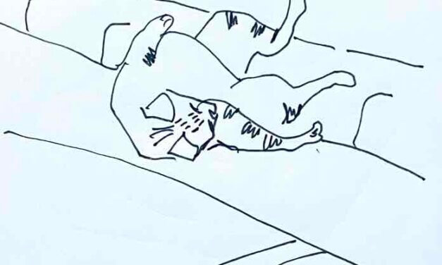 NEW | 15x10cm | drawing x paper | 2022 #cat