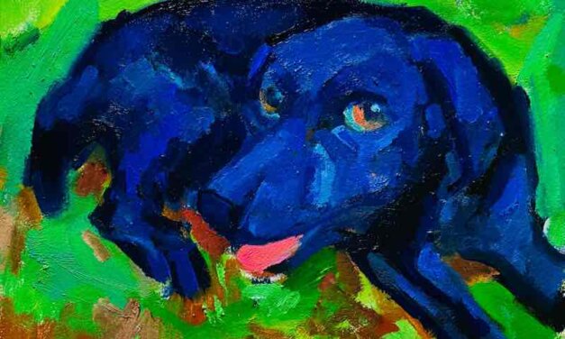 NEW | Labrador | 24x30cm | oil x PAPER | 2022 #dog