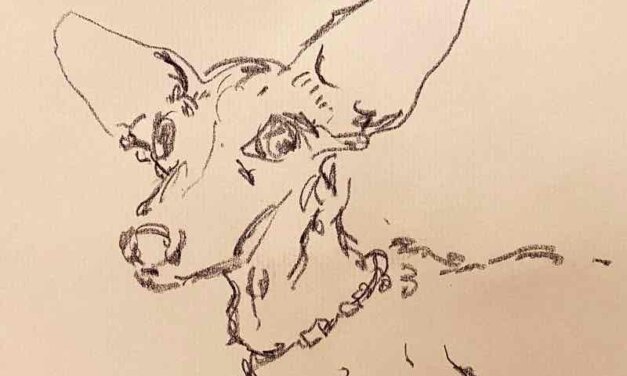 NEW | 15x15cm | drawing x paper | 2022 #dog