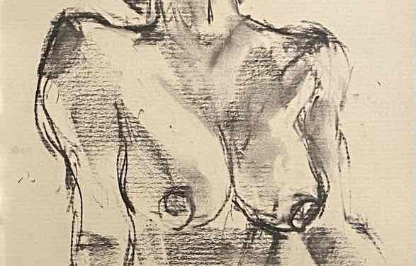 NEW | 29x21cm | drawing x paper | 2022