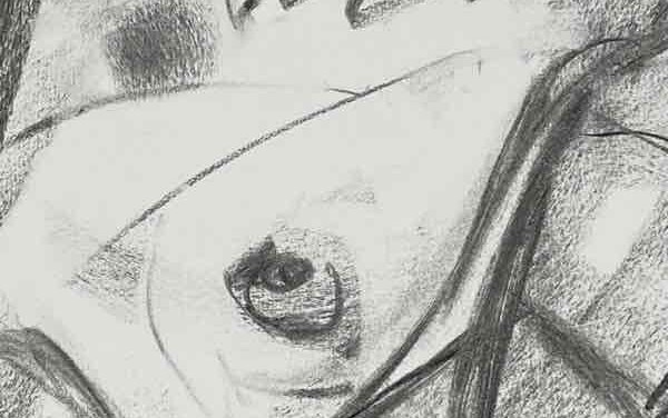 NEW | 50x40cm | drawing x paper | 2022