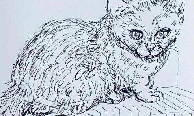 NEW | 15x15cm | drawing x paper | 2022 #cat