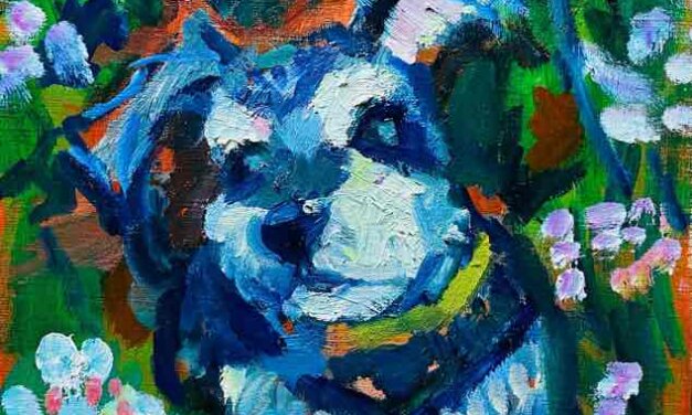 NEW | schnauzer | 30x24cm | oil x PAPER | 2022 #dog