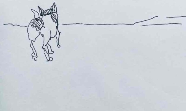 NEW | 15x15cm | drawing x paper | 2022 #cat