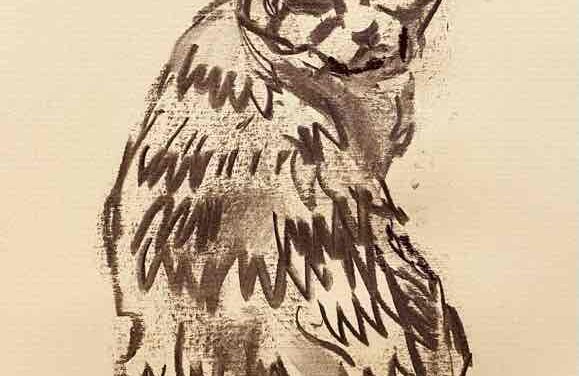 NEW | 29x21cm | drawing x paper | 2022 #cat