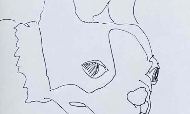 NEW | 15x15cm | drawing x paper | 2022 #Boston terrier