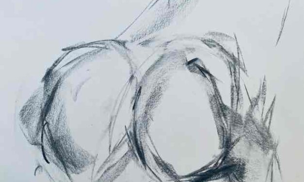 NEW | 29x21cm | drawing x paper | 2022