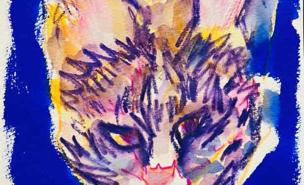 NEW | 21x14cm | water colour x drawing x paper | 2022