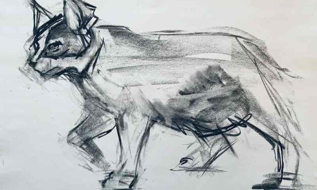 NEW | 30x40cm | drawing x paper | 2022 #cat