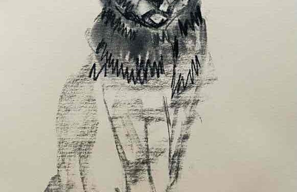 NEW | 29x21cm | drawing x paper | 2022 #cat