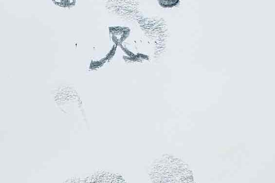 NEW | 29x21cm | drawing x paper | 2022