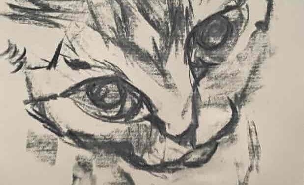 NEW | 29x21cm | drawing x paper | 2022 #cat