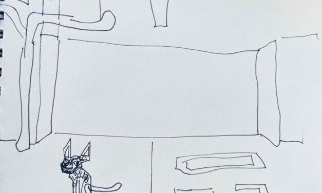 NEW | 10x7cm | drawing x paper | 2022 #cat