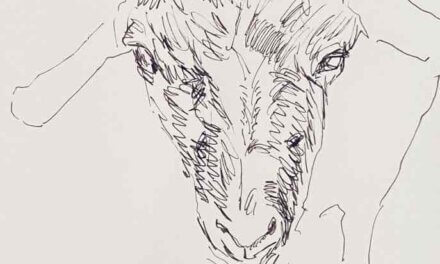 NEW | 15x15cm | drawing x paper | 2022 #goat