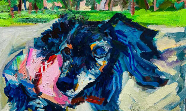 NEW | dachshund | 24x30cm | oil x paper | 2022 #dog