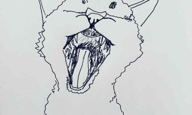 NEW | 15x15cm | drawing x paper | 2022 #cat