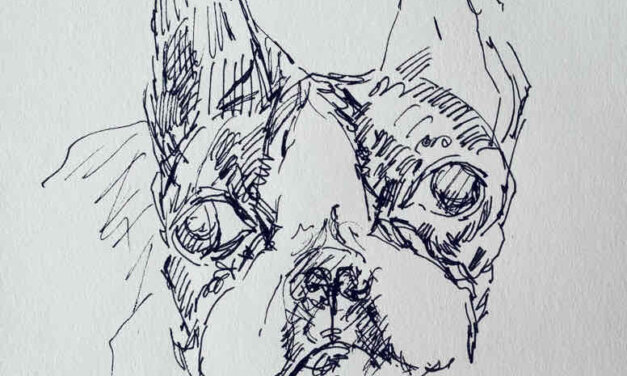NEW | 15x15cm | drawing x paper | 2022 #dog