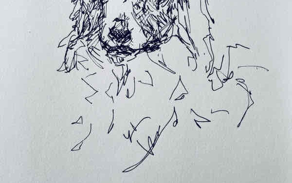 NEW | 15x15cm | drawing x paper | 2022 #dog