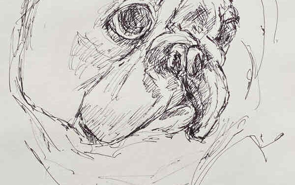 NEW | bulldog | 15x15cm | drawing x paper | 2022 #dog