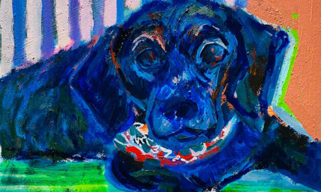 NEW | 30x24cm | oil x paper | 2022 #dog