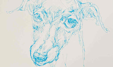 NEW | italian greyhound | 15x15cm | drawing x paper | 2022 #dog