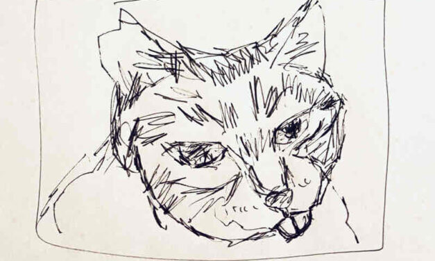 NEW | 15x15cm | drawing x paper | 2022 #cat