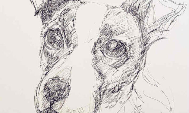 NEW | 50x30cm | drawing x paper | 2022 #dog