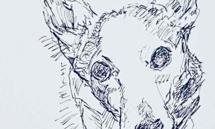 NEW | 15x15cm | drawing x paper | 2022 #dog