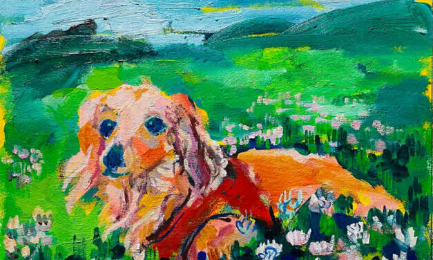 NEW | Dachshund | 24x30cm | oil x paper | 2022 #dog