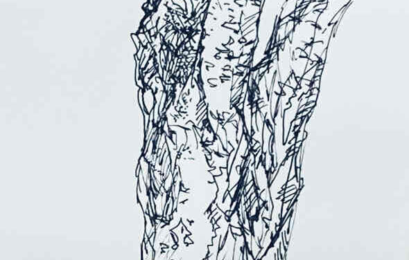 NEW | 15x10cm | drawing x paper | 2022 #tree